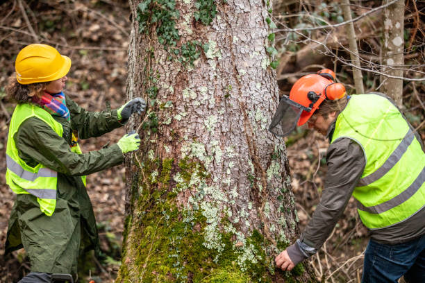 Best Tree Preservation Services  in Alum Rock, CA